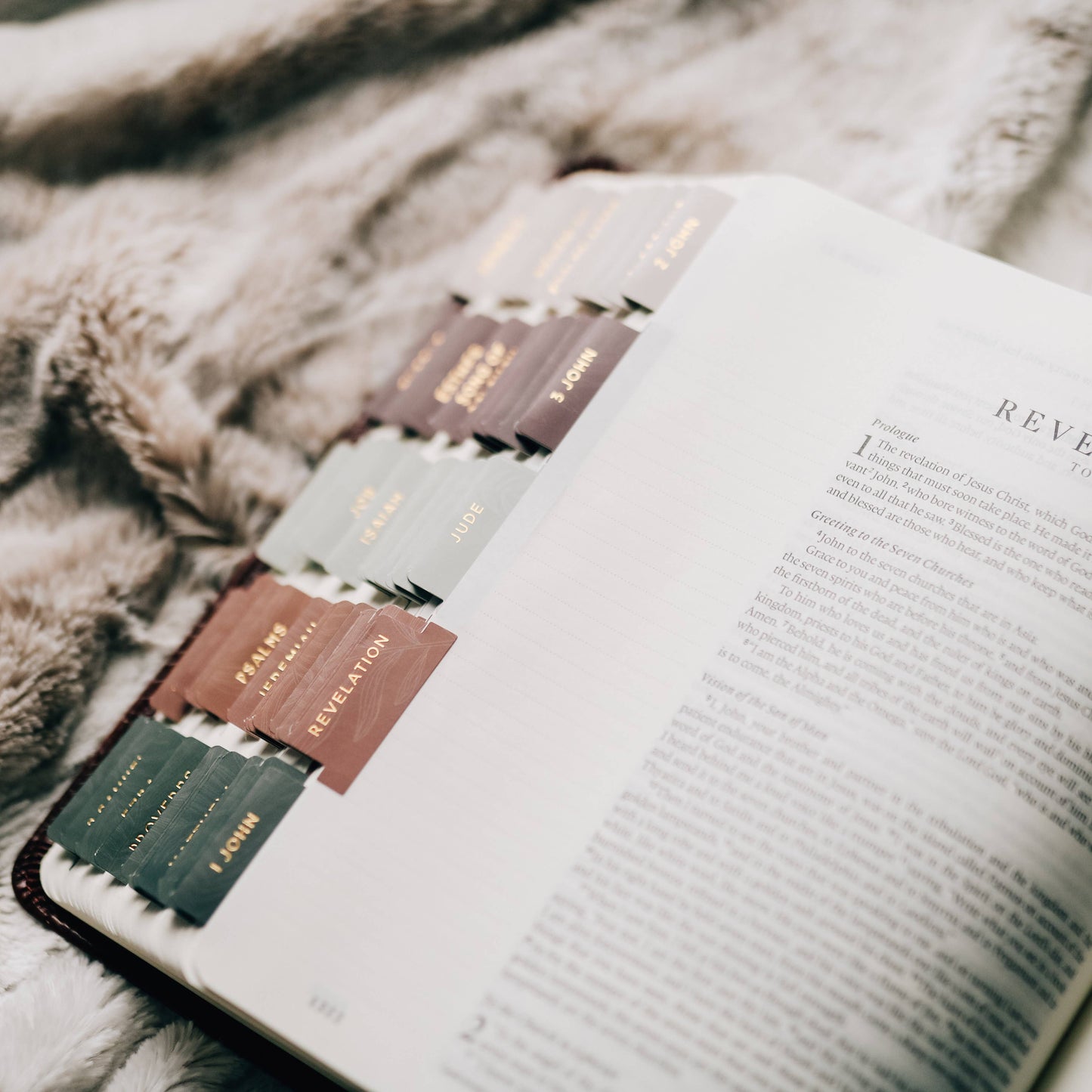 Bible Tabs - Gold Foil & Jewel Tones