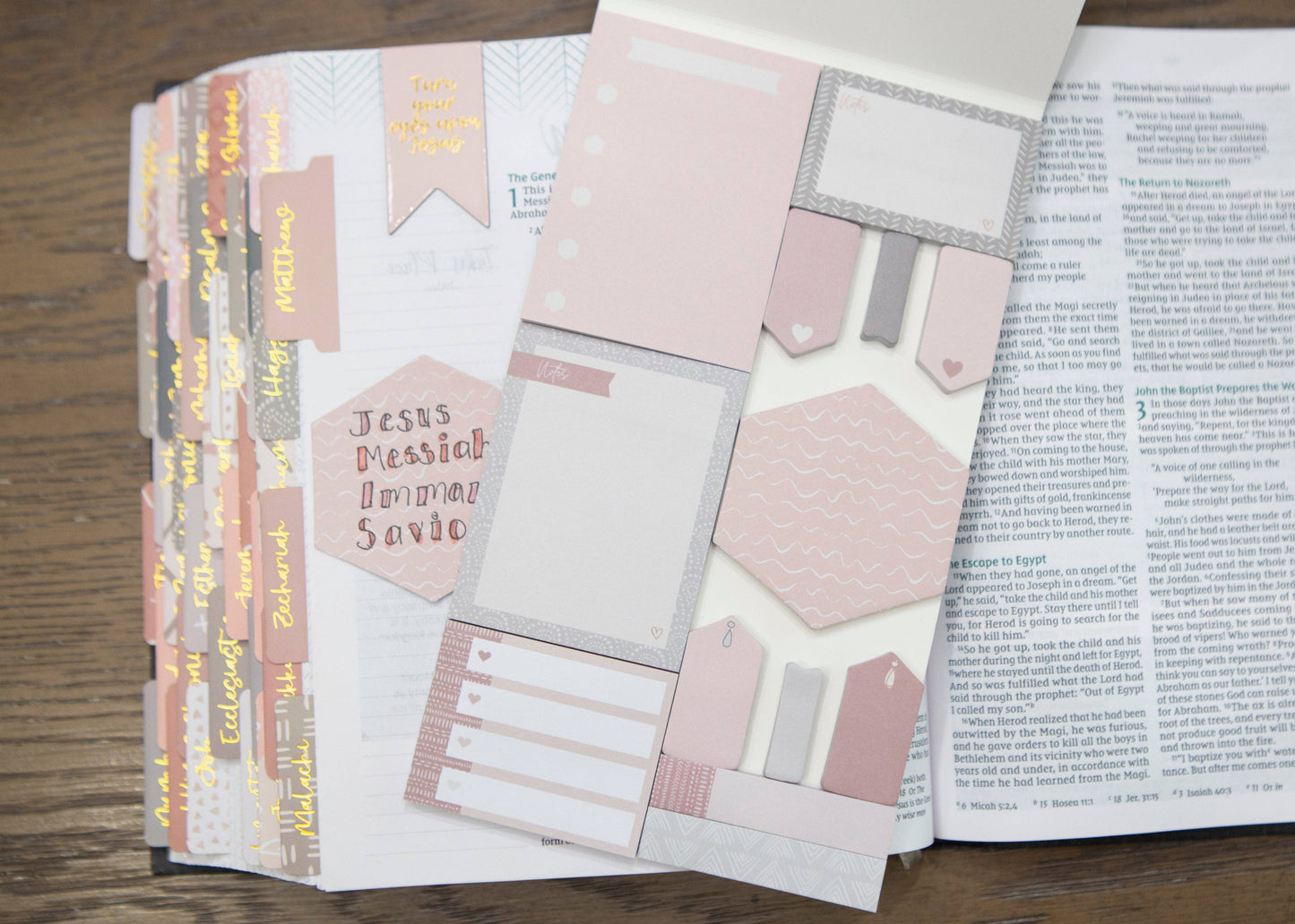 Bible Study Sticky Notes (390-Piece Set)